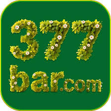 377bra.COM